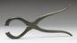 Lion forceps, model,  Indian