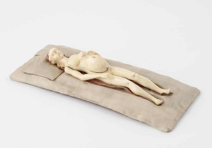 Ivory anatomical figure, a pregnant female, with s