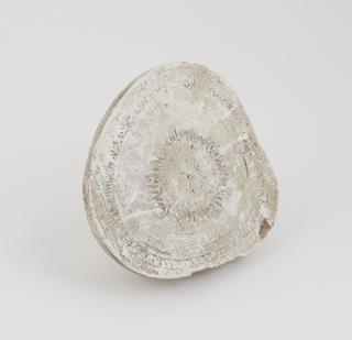 Half of horse calculus