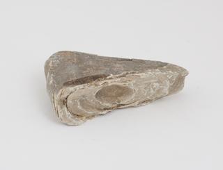 Horse calculus, brown in colour