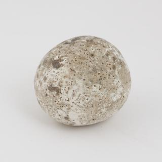 Horse calculus, white in colour