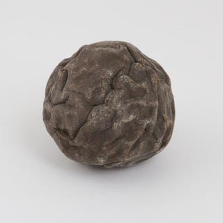 Horse calculus, black/ dark brown in colour