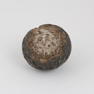 Horse calculus, black/ dark brown in colour