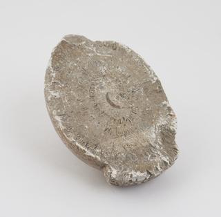 Half of horse calculus