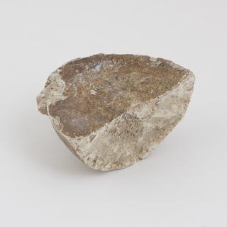 Quarter of horse calculus