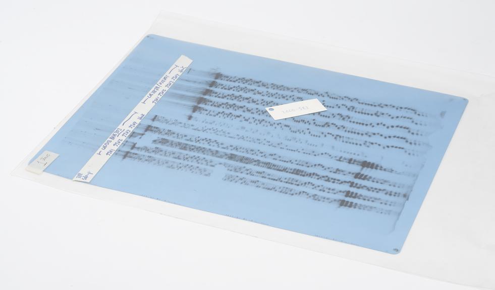 Autoradiograph of mitochondrial DNA used in the id