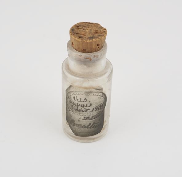 Glass bottle, which contains a diseased silkworm,