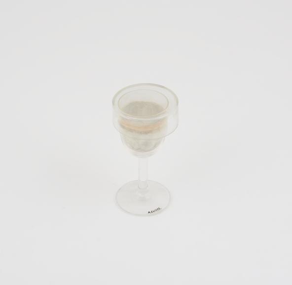 Wine glass cover, containing imitation contents, p