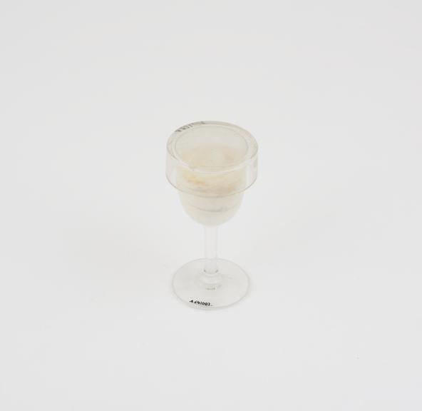 Wine glass with fake plaster contents and glass co