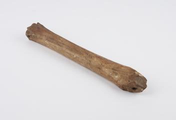 Bone ice skate (Moorfields)