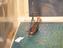 Rigged Model of an English Hoy