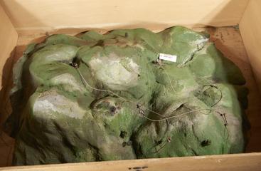 Mountain Top Section of Installation