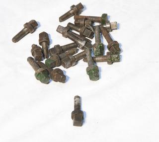 Twenty Tap Bolts and Two Washers