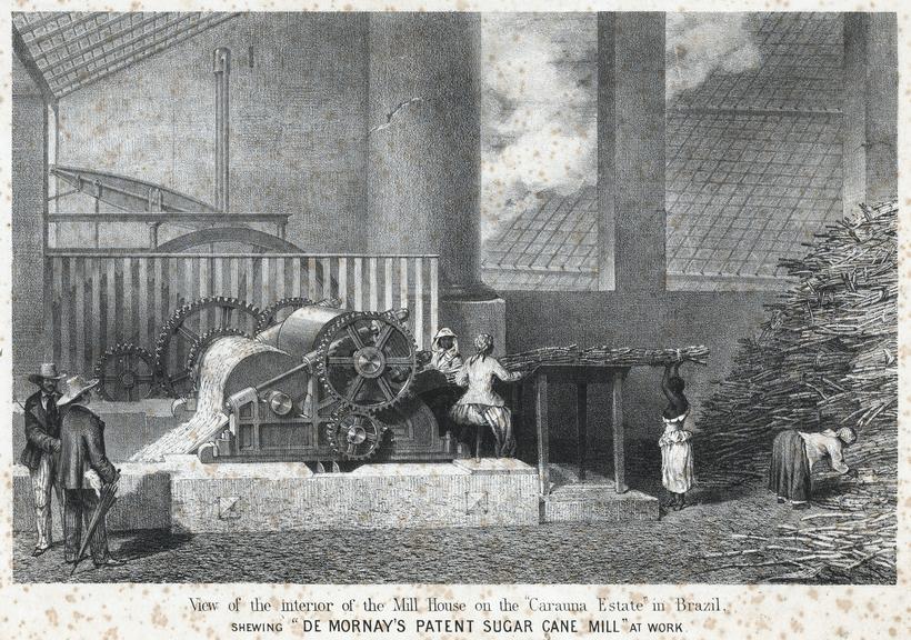 Engraving showing the interior of a sugar mill house on the