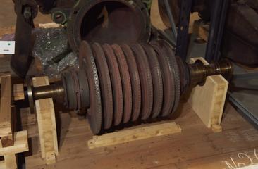 Rotor with Packings and Blade Rings