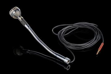 Melodium Bouyer 76A microphone on goosneck