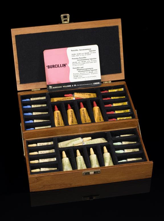 Presentation selection of 32 tubes of 'Burcullin' penicillin