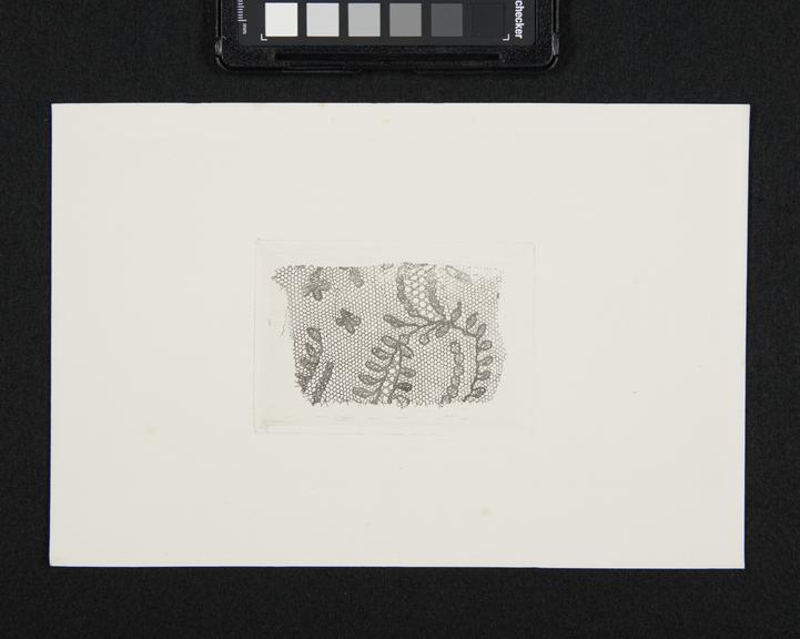Photoglyphic engraving, by William Henry Fox Talbot