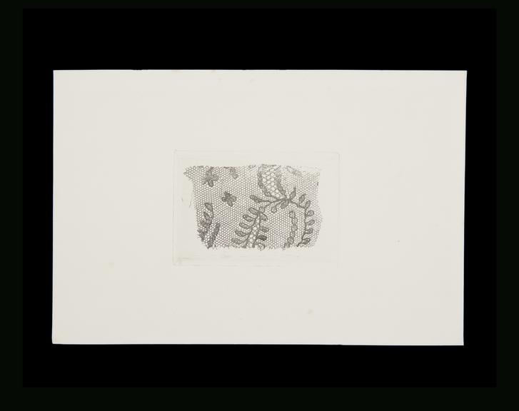 Photoglyphic engraving depicting lace