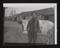 Daily Herald Photograph: Agricultural Apprentice