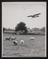 Daily Herald Photograph: Farming