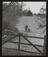 Daily Herald Photograph: Game Keeper