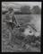A photographic print of Industry, Agriculture, Pests