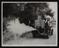 A photographic print of Industry, Agriculture, Pests
