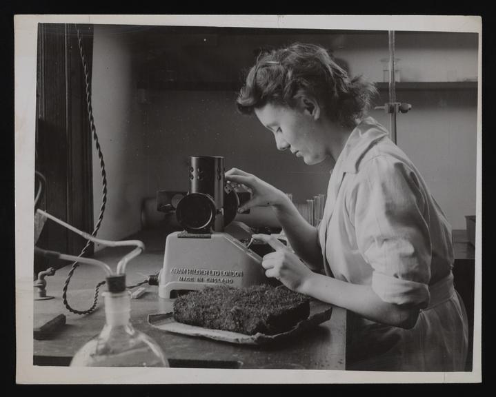 Daily Herald Photograph: Testing soil for plant food