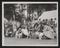 Daily Herald Photograph: Dog Show