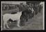 Daily Herald Photograph: Royal Counties Show, Pit Ponies