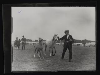 A photographic print of Industry, Agriculture, Shows - Royal Welsh