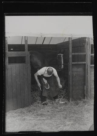 A photographic print of Industry, Agriculture, Shows - Royal Welsh