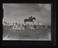 A photographic print of Industry, Agriculture, Shows - Royal Welsh