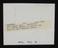 A photographic print of Industry, Agriculture, Shows - Royal Welsh