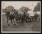 Daily Herald Photograph: Agricultural Show, Horses