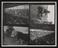 Daily Herald Contact Sheet; Three Counties Agricultural Show