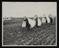 A photographic print of Industry, Agriculture, Workers - Miscellaneous - Women