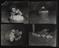 Daily Herald Contact Sheet: Chicks at Sisservernes Farm