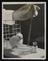 A photographic print of Industry, Agriculture, Poultry - Chicks