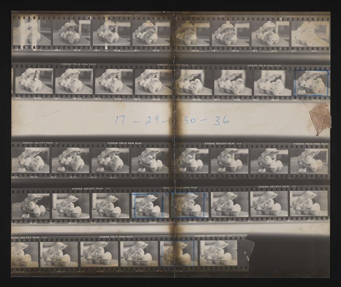 A photographic print of Industry, Agriculture, Poultry Chicks