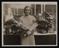 Daily Herald Photograph: Great Autumn Flower and Vegetable Show