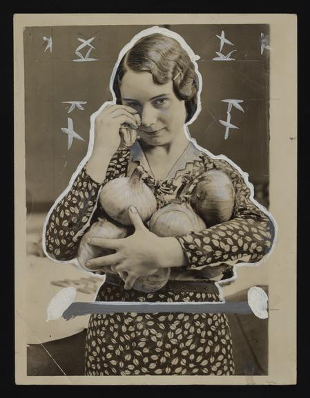 Daily Herald Photograph: Large onions at vegetable show