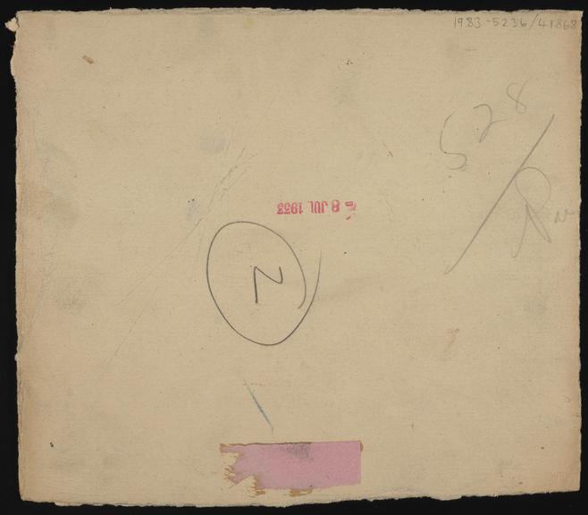 Daily Herald Photograph: Onions