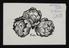 A document of Vegetables - Artichokes (photographic print)