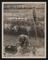 A photographic print of Industry, Agriculture, Vegetables - Watercress, Mustard-an-Cress, etc