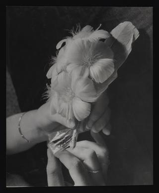 Daily Herald Photograph; Feather Flowers