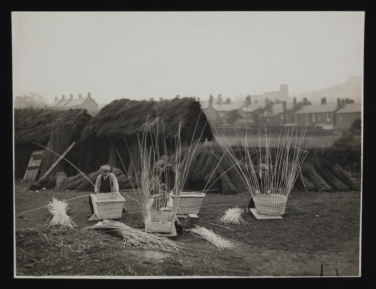 Daily Herald Photograph; Basket Making