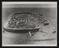 Daily Herald Photograph: Model of Sea City