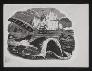 Daily Herald Illustration: Whaling
